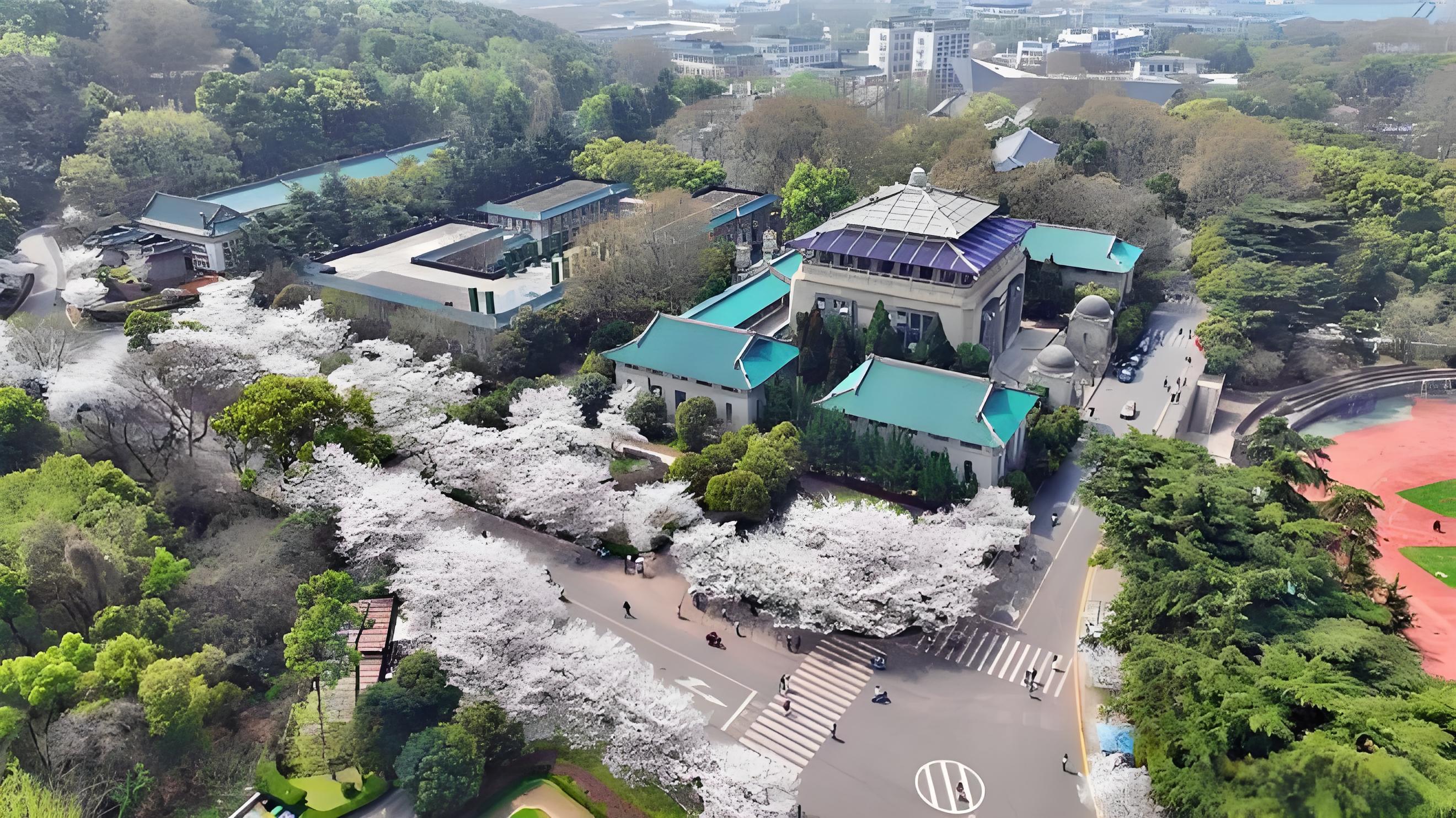 【武大樱花季惊现学术级操作！航拍需答辩被赞"硬核限流"】