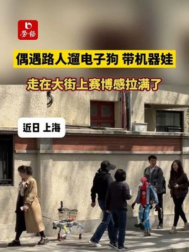 【赛博遛弯】上海大爷带电子狗逛公园引爆网络！网友惊呼：“养老进入科幻片模式”