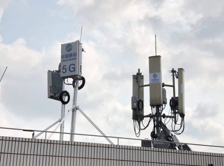 澳洲考拉集体“占领”5G基站 专家揭秘：误将信号塔当巨型桉树