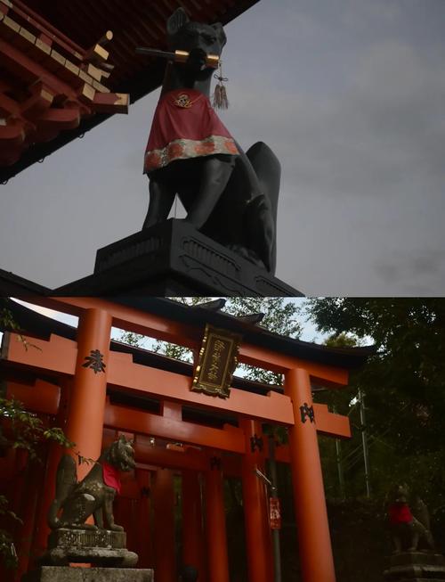 京都伏见区血案：当旅游安全神话被打破  ——一位中国母亲的自述与中日两国的24小时应急博弈