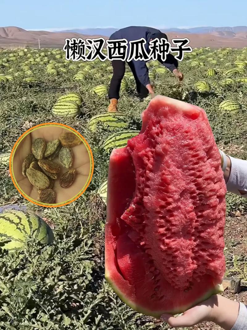 46f890faaa7bf38d7de976943846cbee.jpeg