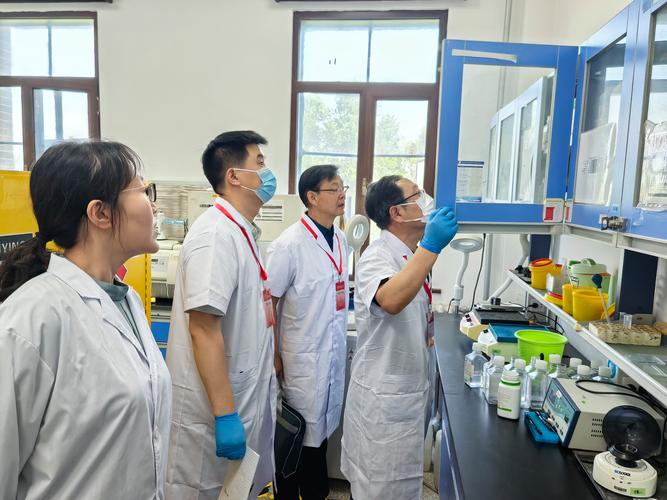 改写抗生素战争规则：中国团队用酵母菌合成"分子盾牌"