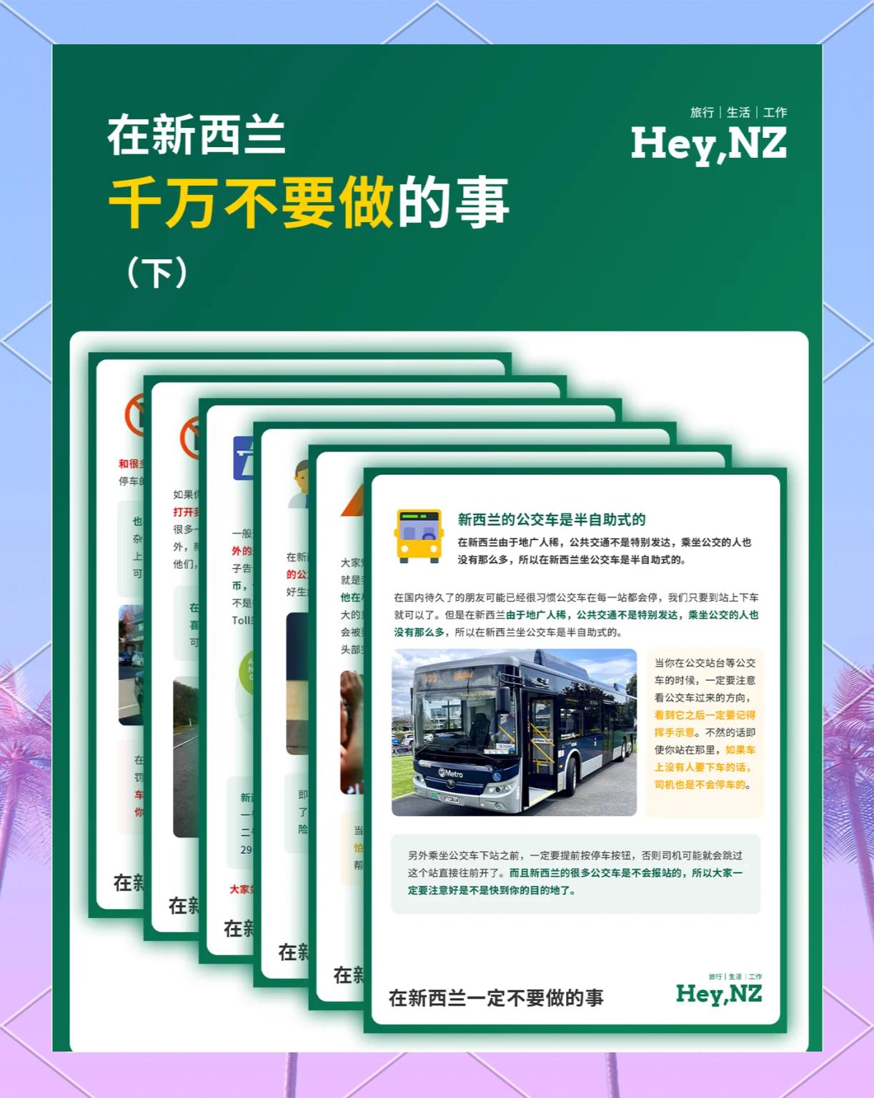 新西兰绵羊自己坐公交回家，司机：它知道在哪站下