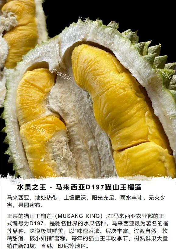 泰国榴莲出口量骤减，中国买家转战马来西亚猫山王‌