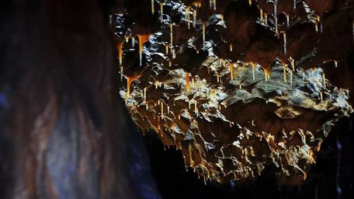 福建"哑泉"突然能说话？地质站揭晓录音装置被溶洞水滴激活