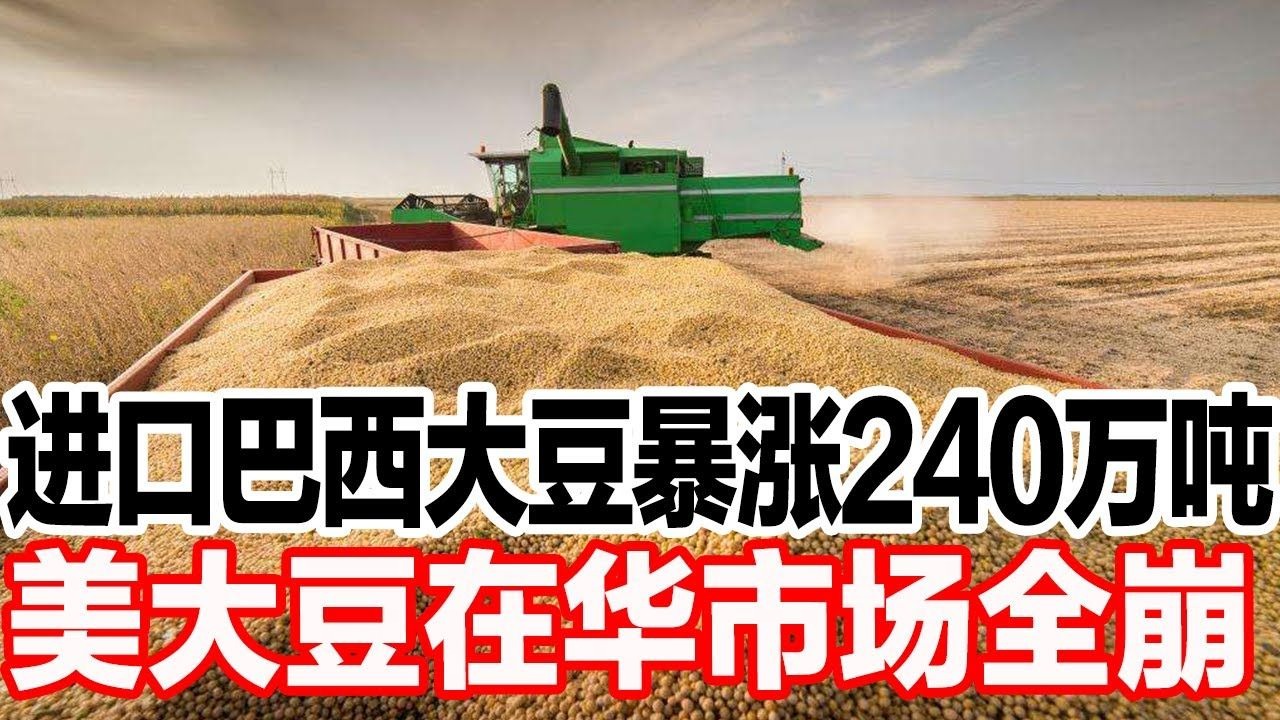 俄罗斯暂停化肥出口 巴西大豆种植面临"断肥"危机