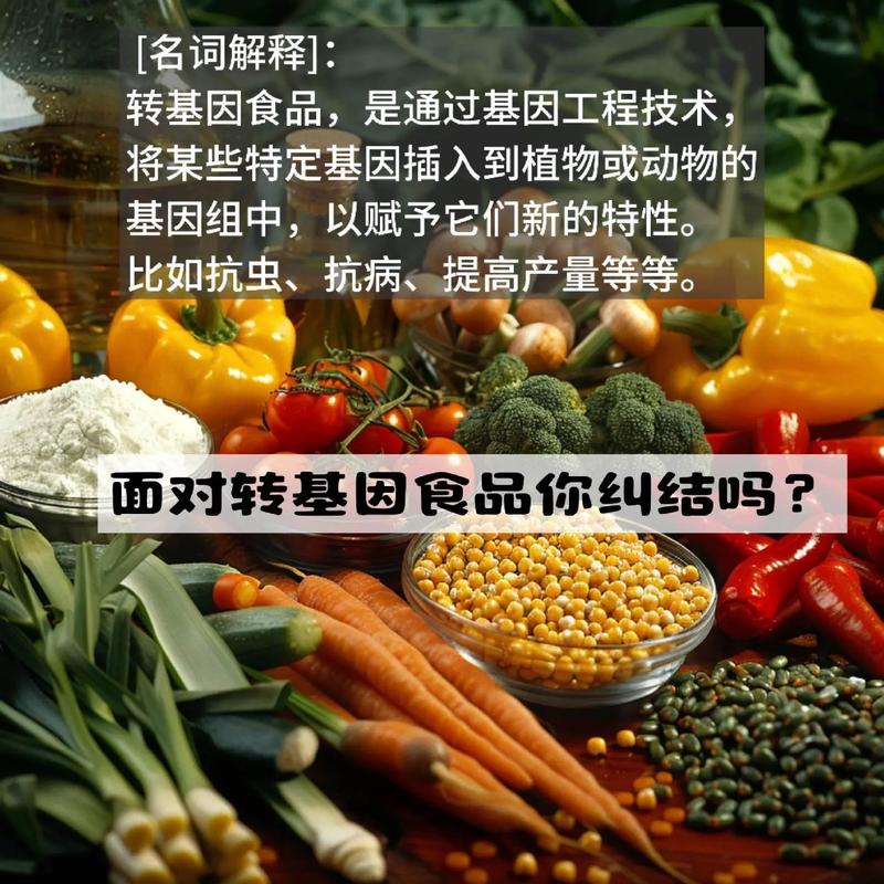 中国暂停加拿大油菜籽进口 转基因成分超标引食品安全争议