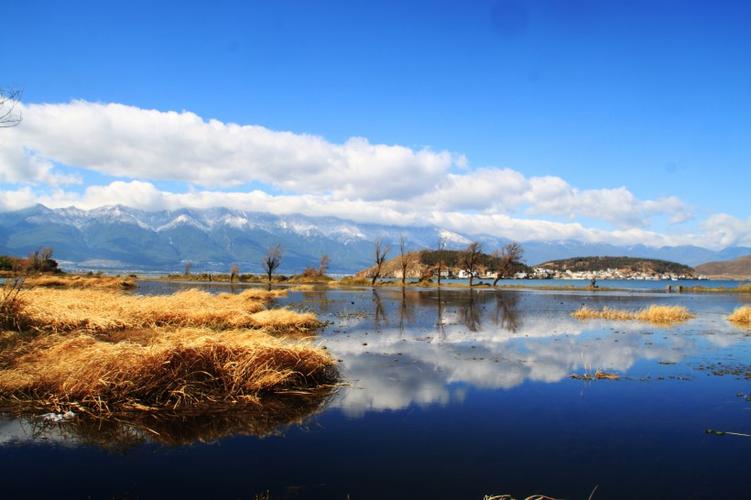 大理乳扇记：苍山雪与洱海奶的千年缠绵